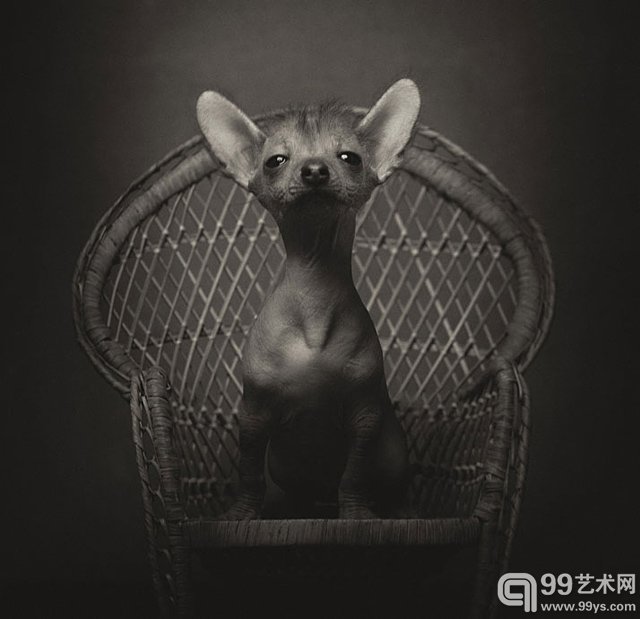 比利时摄影师 Vincent Legrange的摄影作品