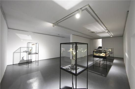 展览现场