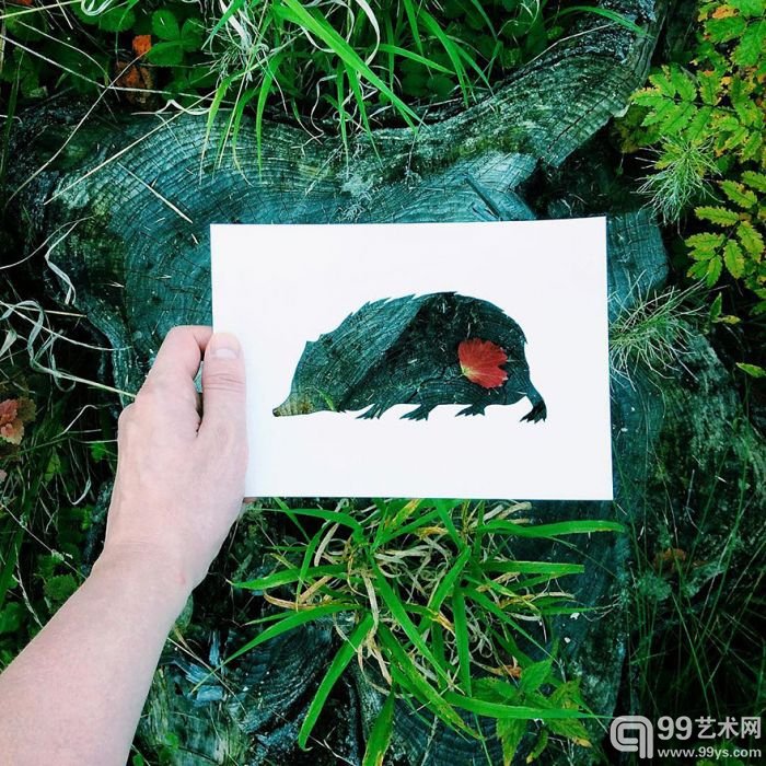 Nikolai Tolstyh拍摄的小动物剪影照片