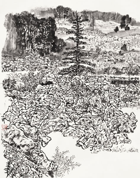 李小可 《黑龙江五大连池》  69×55cm 2009年作