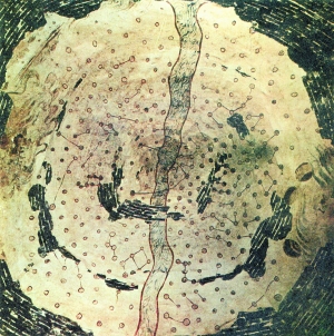 河南洛阳北魏墓中的天文图， 　　巫鸿认为这幅北魏壁画的图谱式的视觉模式源自古代描绘天空的“科学”传统。
