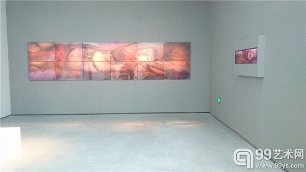 展览现场作品