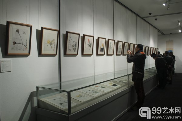 “叶隐闻声——齐白石工笔草虫大展”展览现场