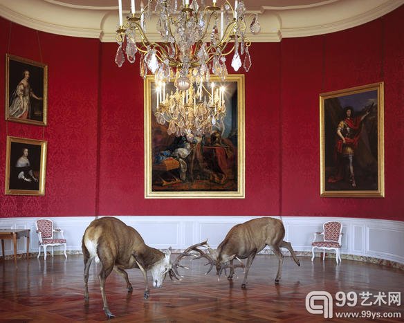 德国摄影师 Karen Knorr 的摄影作品