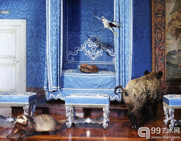 德国摄影师 Karen Knorr 的摄影作品