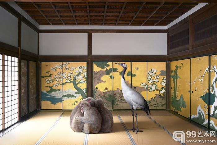 德国摄影师 Karen Knorr 的摄影作品德国摄影师 Karen Knorr 的摄影作品