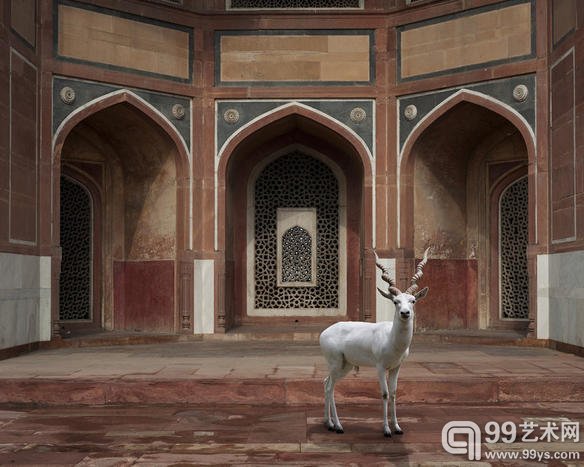 德国摄影师 Karen Knorr 的摄影作品