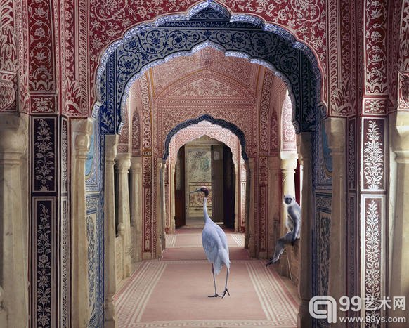 德国摄影师 Karen Knorr 的摄影作品