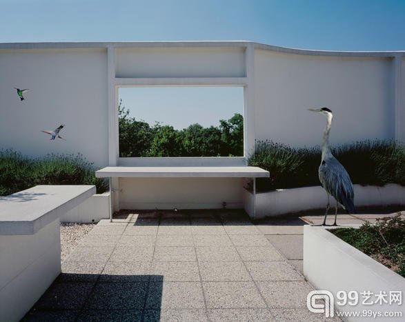 德国摄影师 Karen Knorr 的摄影作品