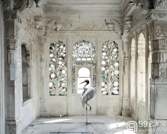 德国摄影师 Karen Knorr 的摄影作品