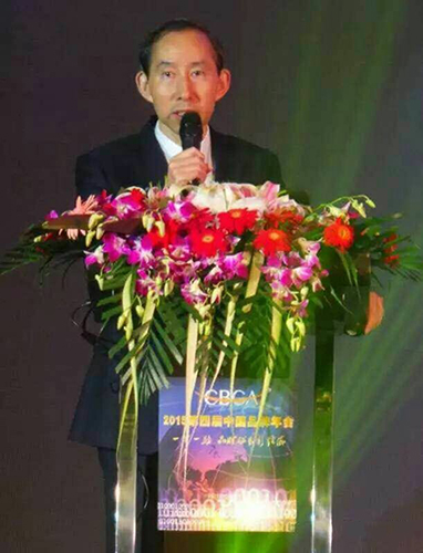 中国国际文化传播中心主席 龙永翔