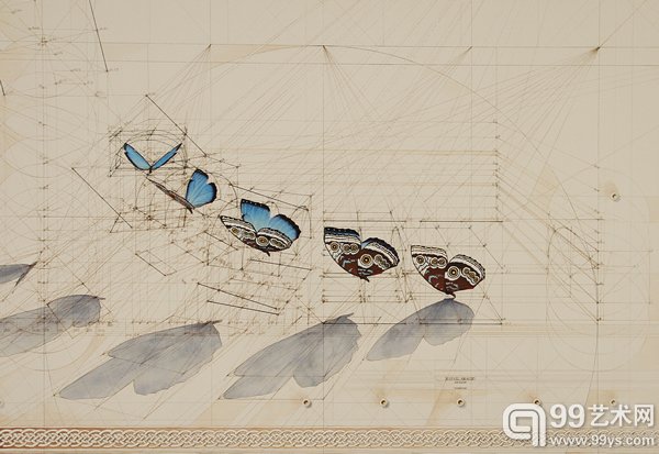 委内瑞拉艺术家 Rafael Araujo 的作品