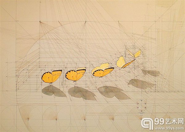 委内瑞拉艺术家 Rafael Araujo 的作品