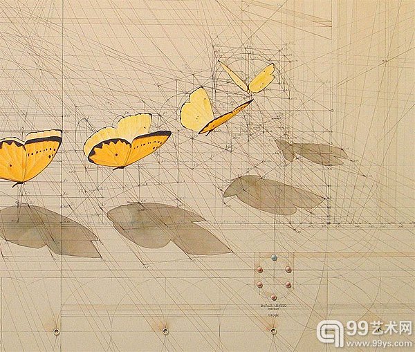 委内瑞拉艺术家 Rafael Araujo 的作品