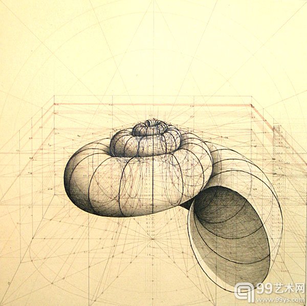委内瑞拉艺术家 Rafael Araujo 的作品