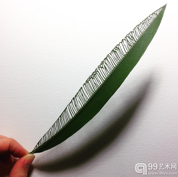 艺术家Hillary Fayle的作品