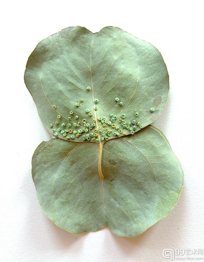 艺术家Hillary Fayle的作品