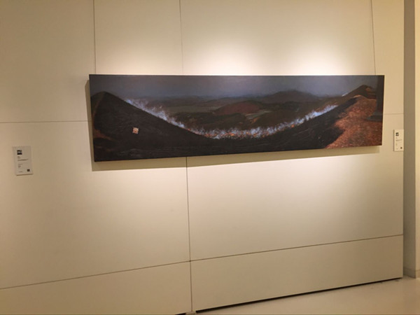 展览展出作品