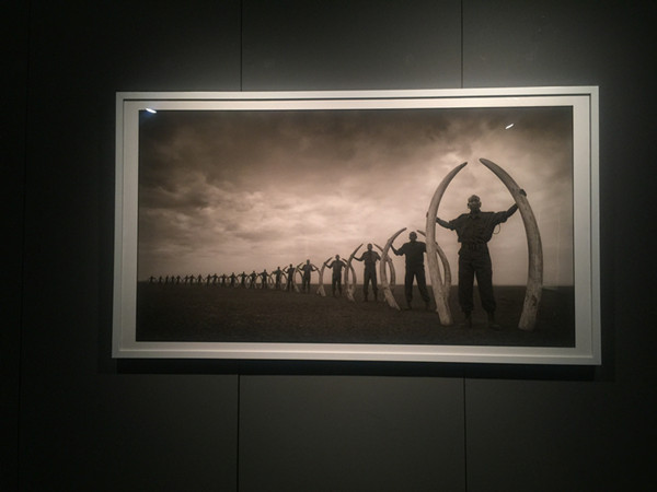 “简单图像奥秘”影像展展览现场