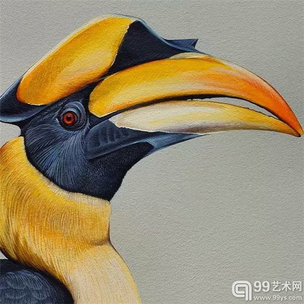 旧金山的Jane Kim的鸟类插画