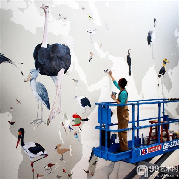 旧金山的Jane Kim的鸟类插画