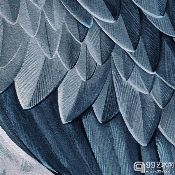 旧金山的Jane Kim的鸟类插画