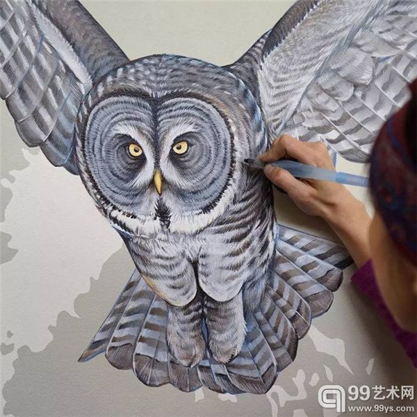 旧金山的Jane Kim的鸟类插画