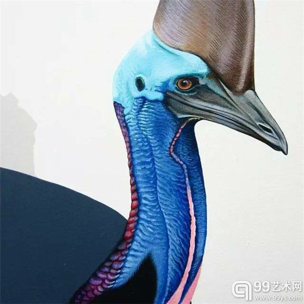 旧金山的Jane Kim的鸟类插画