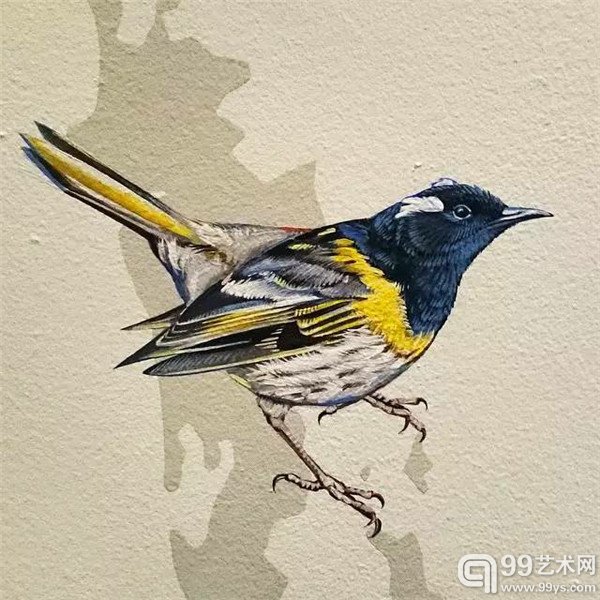 旧金山的Jane Kim的鸟类插画