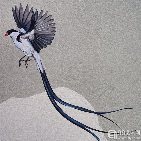 旧金山的Jane Kim的鸟类插画