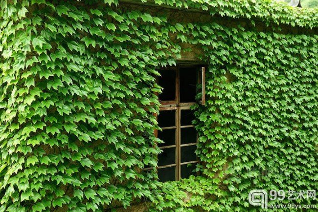 中国摄影师青简拍下了这令人讚嘆的景致，将这份不可思议的美分享给全世界。