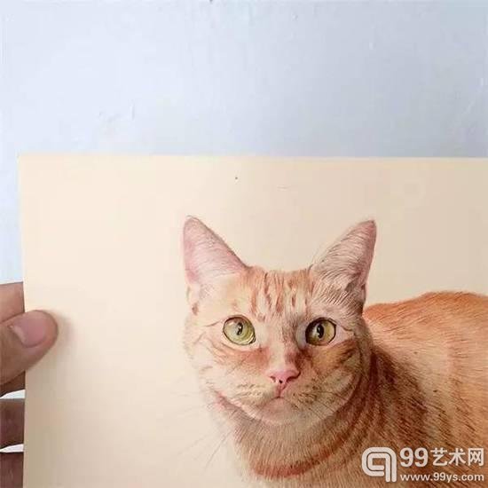 圆珠笔画