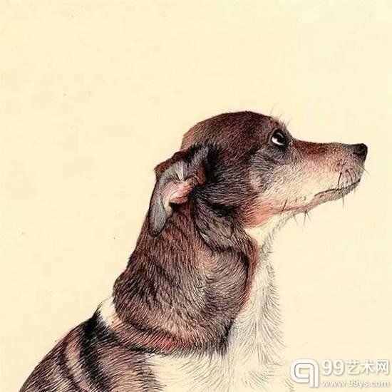 圆珠笔画