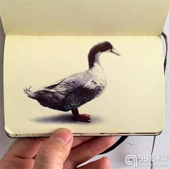 圆珠笔画