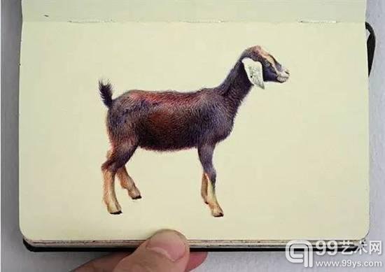 圆珠笔画