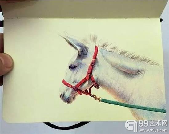 圆珠笔画