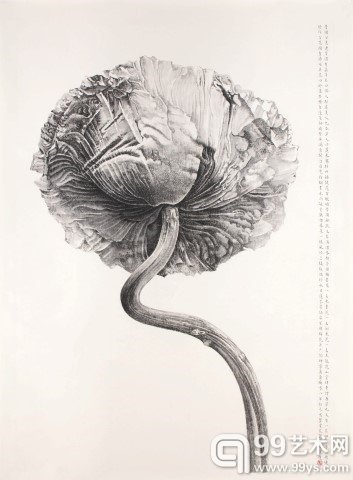 Liu Dan_Poppy