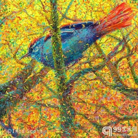 动物篇