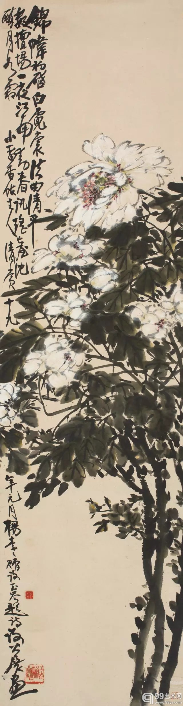 谢公展 白牡丹