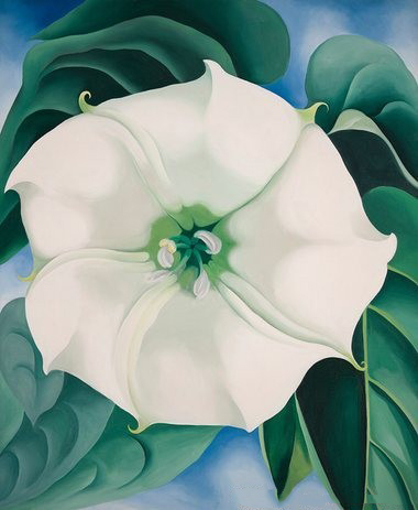欧姬芙的《曼陀罗/白花1号》曾以4440万美元天价成交，创当时女性艺术家作品拍卖纪录