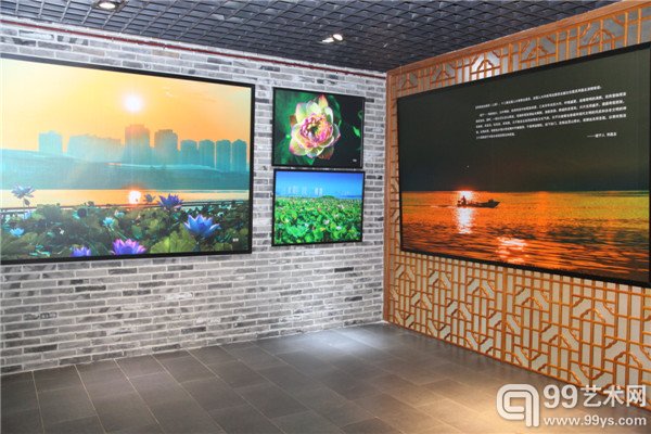 展览现场照片