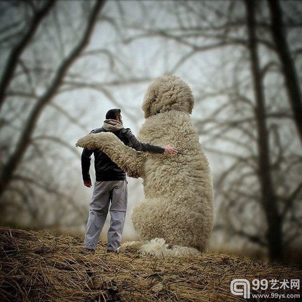 同等身材的伙伴 摄影师把爱狗P成巨无霸