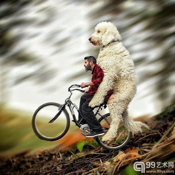 同等身材的伙伴 摄影师把爱狗P成巨无霸