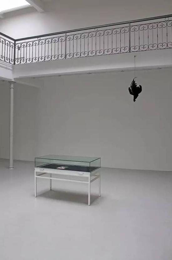 John Murphy 　　Opened in a Cut of Flesh 　　Stuffed Black Rooster， vitrine， publication 　　Variable dimensions