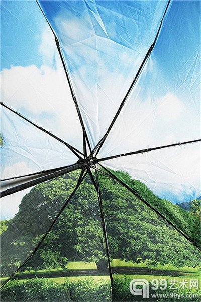 摄影师Mizutani Yoshinori（水谷吉法）的作品