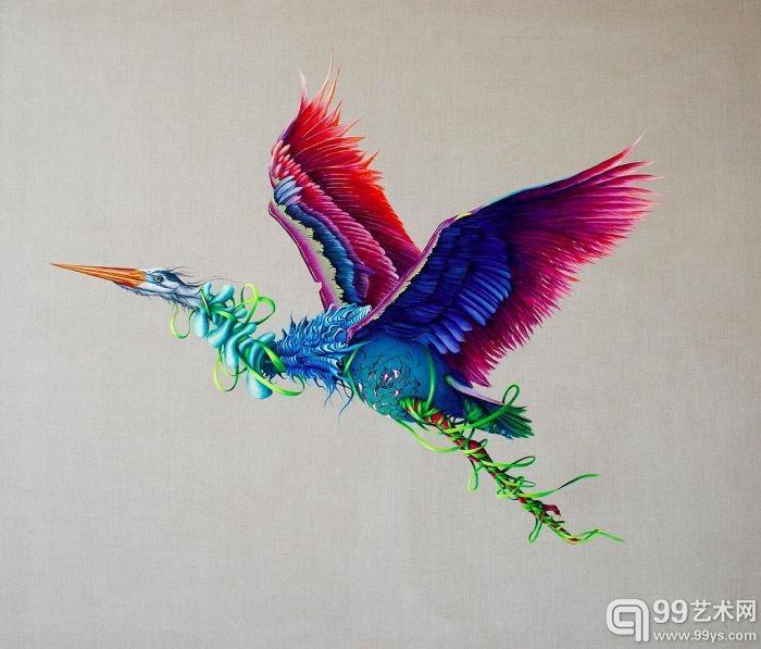 羽毛 缎带和星空：她用细腻的笔触画出动物的世界
