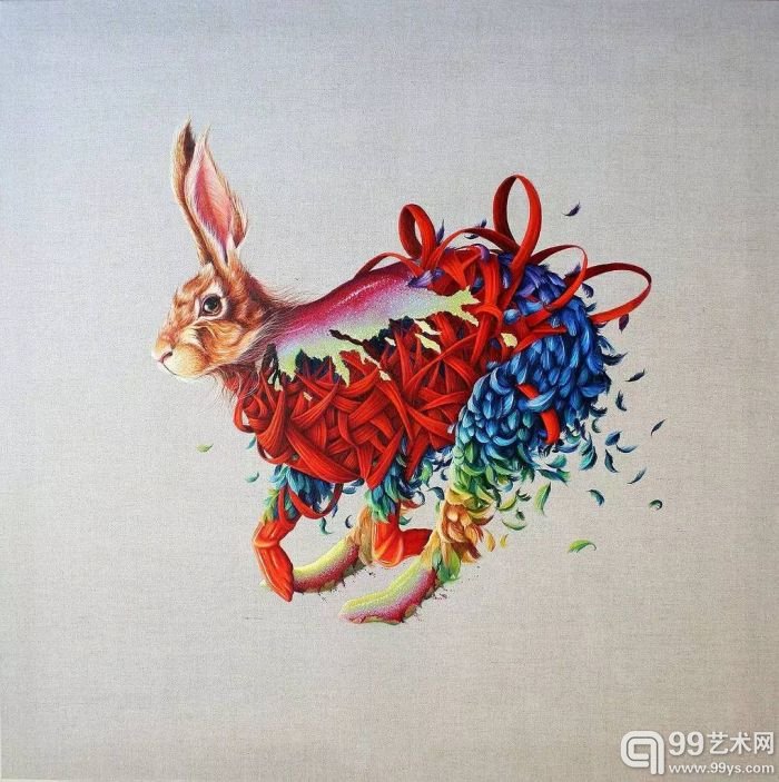 羽毛 缎带和星空：她用细腻的笔触画出动物的世界