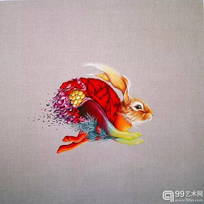 羽毛 缎带和星空：她用细腻的笔触画出动物的世界