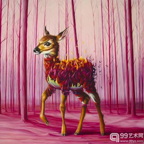 羽毛 缎带和星空：她用细腻的笔触画出动物的世界