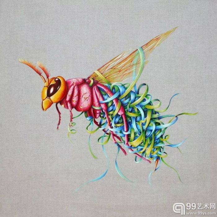 羽毛 缎带和星空：她用细腻的笔触画出动物的世界
